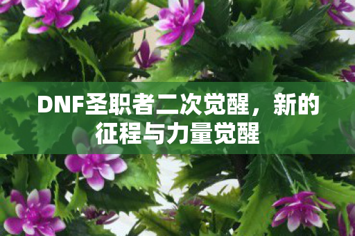 DNF圣职者二次觉醒图片