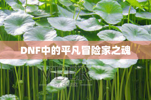 DNF中的平凡冒险家之魂图片