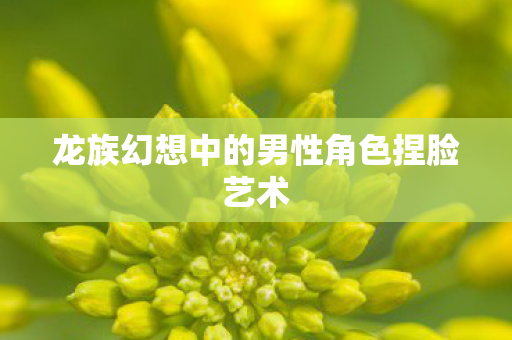 龙族幻想中的男性角色捏脸艺术图片