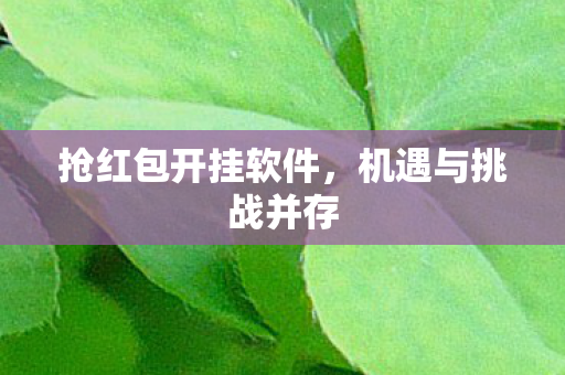 抢红包开挂软件图片