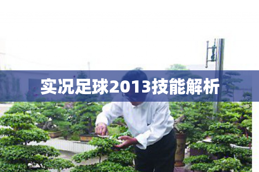 实况足球2013技能解析图片
