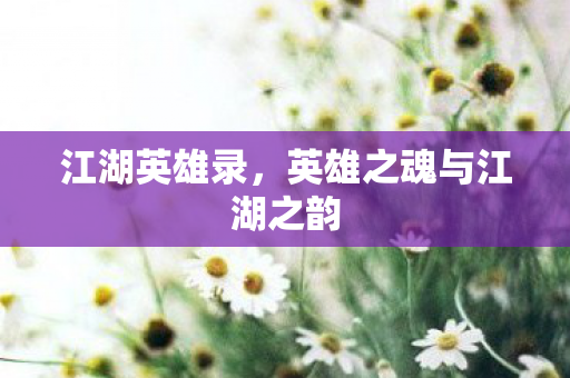 英雄之魂与江湖之韵图片