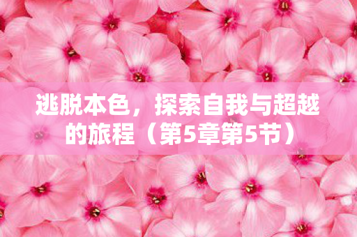 探索自我与超越的旅程图片