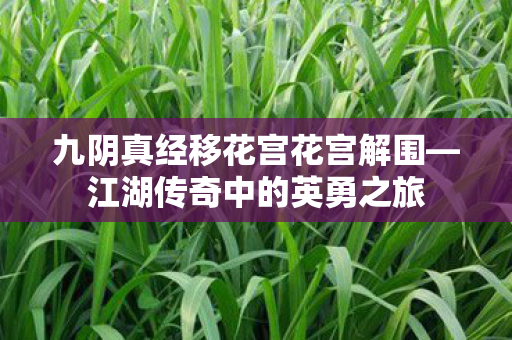 九阴真经移花宫花宫解围图片