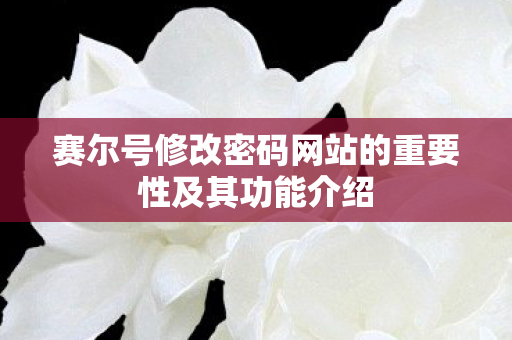 赛尔号修改密码网站的重要性及其功能介绍图片