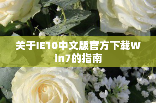 关于IE10中文版官方下载Win7的指南图片