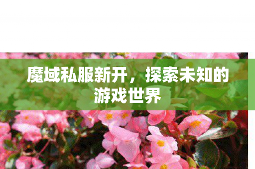 探索未知的游戏世界图片