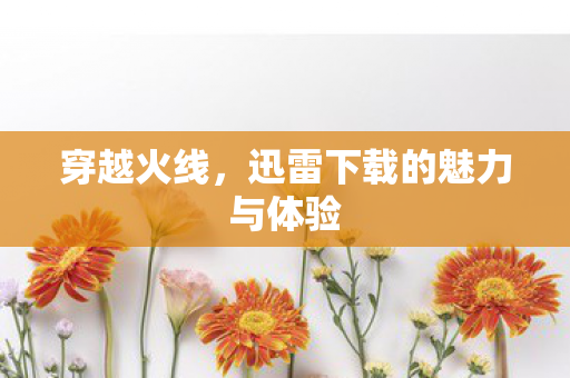 迅雷下载的魅力与体验图片