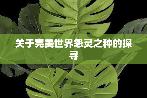关于完美世界怨灵之种的探寻图片