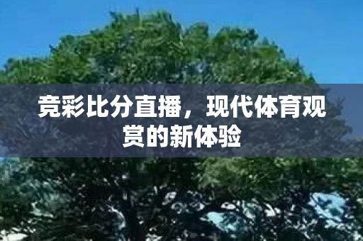 现代体育观赏的新体验图片