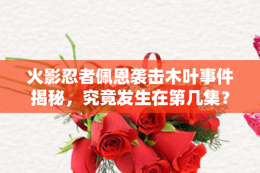火影忍者佩恩袭击木叶事件揭秘图片