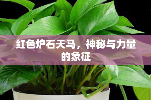 神秘与力量的象征图片