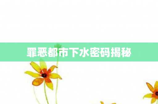 罪恶都市下水密码揭秘图片