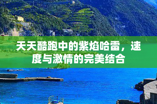 天天酷跑中的紫焰哈雷图片