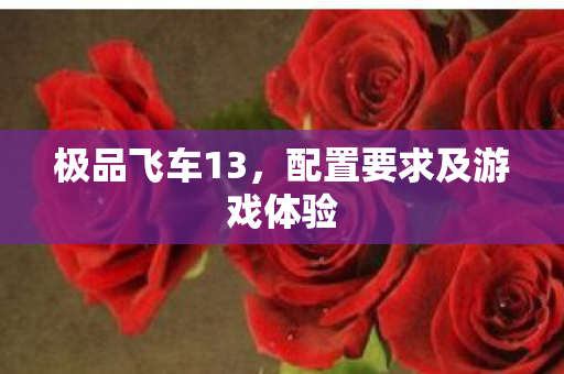 配置要求及游戏体验图片