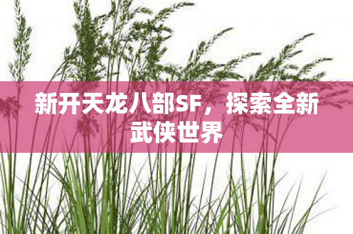 新开天龙八部SF图片