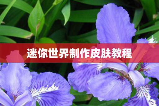 迷你世界制作皮肤教程图片