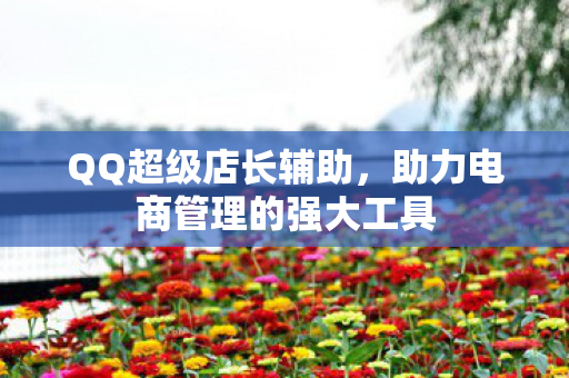 助力电商管理的强大工具图片