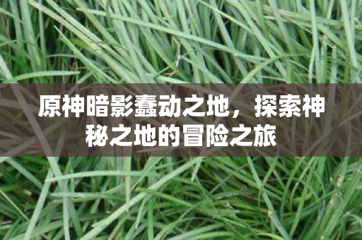 探索神秘之地的冒险之旅图片