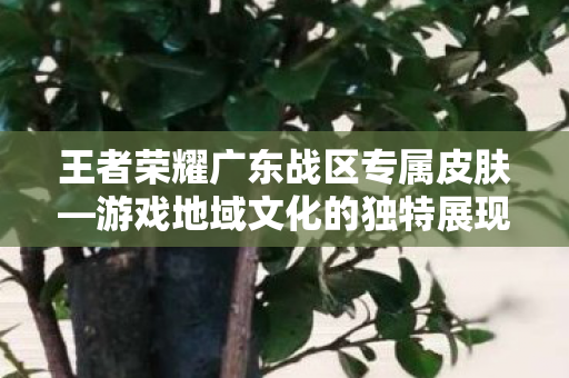 王者荣耀广东战区专属皮肤图片
