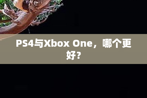 PS4与Xbox One图片