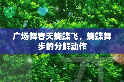 蝴蝶舞步的分解动作图片