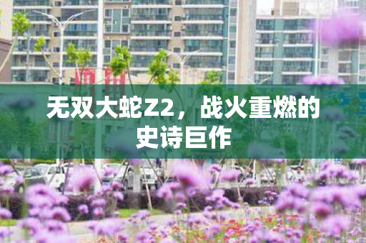 战火重燃的史诗巨作图片