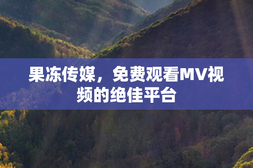 免费观看MV视频的绝佳平台图片