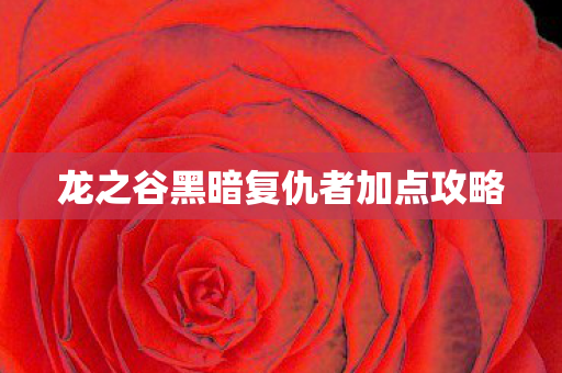 龙之谷黑暗复仇者加点攻略图片