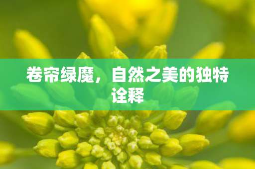 自然之美的独特诠释图片