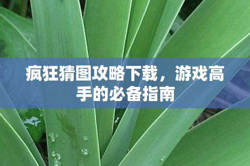 游戏高手的必备指南图片