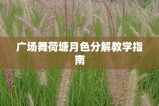 广场舞荷塘月色分解教学指南图片