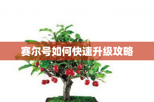 赛尔号如何快速升级攻略图片