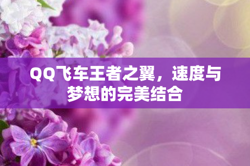 速度与梦想的完美结合图片