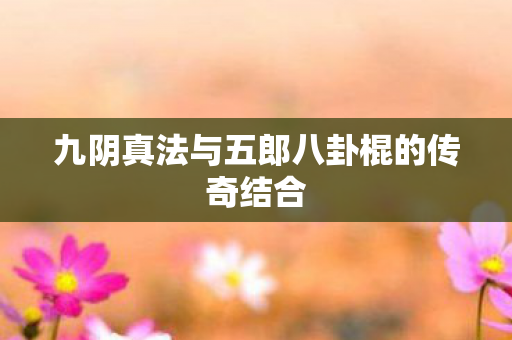 九阴真法与五郎八卦棍的传奇结合图片