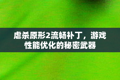 游戏性能优化的秘密武器图片