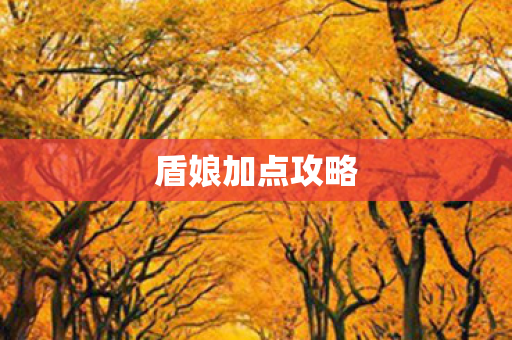 盾娘加点攻略图片