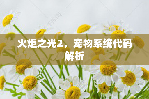 宠物系统代码解析图片