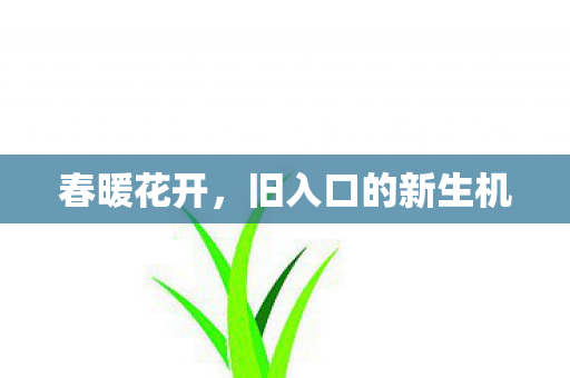 旧入口的新生机图片