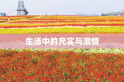 生活中的充实与激情图片
