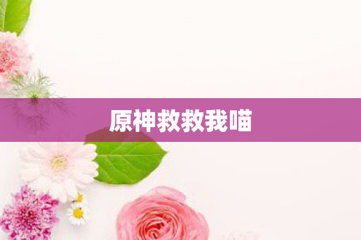 原神救救我喵图片