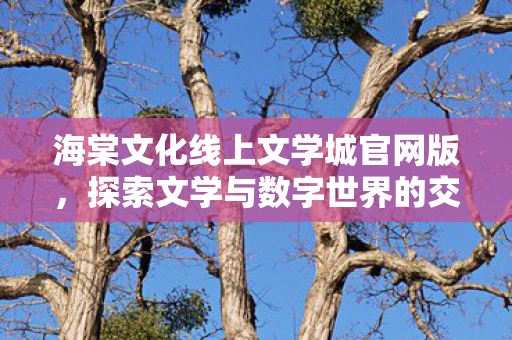 探索文学与数字世界的交融之美图片