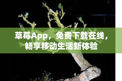 畅享移动生活新体验图片