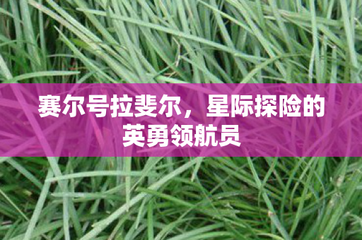 星际探险的英勇领航员图片