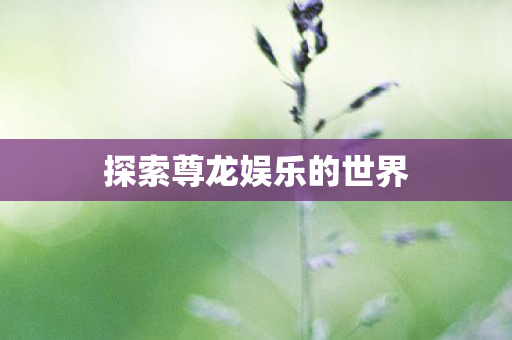 探索尊龙娱乐的世界图片