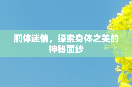 探索身体之美的神秘面纱图片