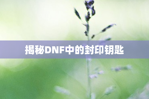 揭秘DNF中的封印钥匙图片