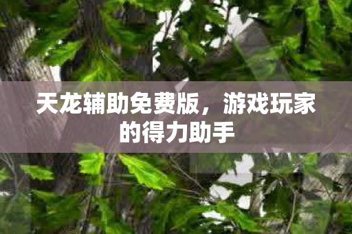 游戏玩家的得力助手图片