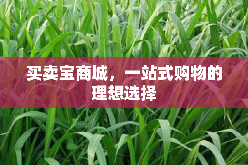一站式购物的理想选择图片
