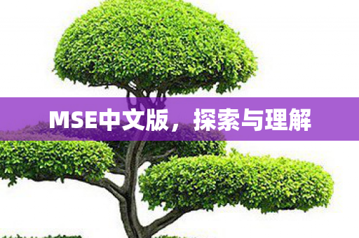 MSE中文版,探索与理解 MSE中文版,探索与理解